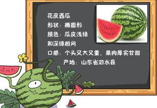 读我心声吃大瓜魏思瑶免费全集,魏思瑶免费全集，揭秘情感纠葛与成长历程  第2张
